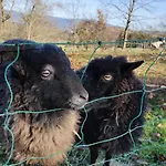 Landgut Michlshof - Bauernhof, Tinyhouse, Tiere 別荘 Untergriesbach