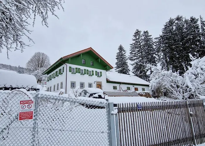 펜션 Landgut Michlshof - Bauernhof, Tinyhouse, Tiere *