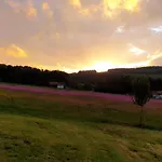 Landgut Michlshof - Bauernhof, Tinyhouse, Tiere Semesterbostad Untergriesbach