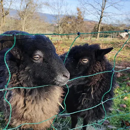 Landgut Michlshof - Bauernhof, Tinyhouse, Tiere Feriehus Untergriesbach