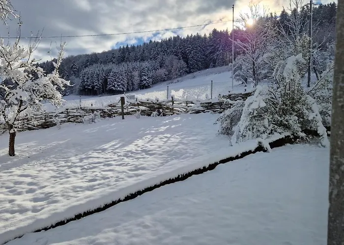 Vakantiehuis Landgut Michlshof - Bauernhof, Tinyhouse, Tiere *